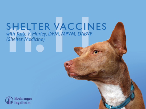 Shelter Vaccines